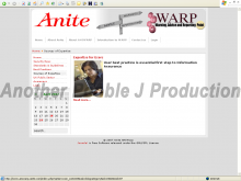 Anite - ANSWARP Portal - Screenshot