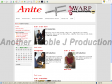 Anite - ANSWARP Portal - Screenshot