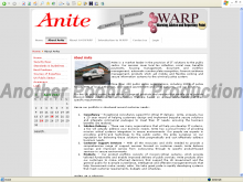 Anite - ANSWARP Portal - Screenshot